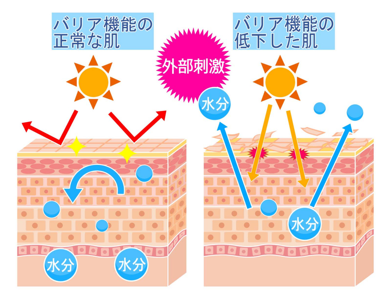 大阪市にある街角エステ　美笑通信　肌の乾燥の原因と対策について